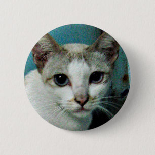 Bóton Redondo 5.08cm Amigo de Gato Siamês