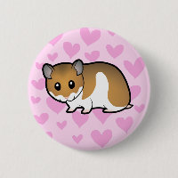 Amor sírio do hamster