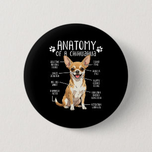 Bóton Redondo 5.08cm Anatomia Engraçada de Chihuahua de um Dono de Cach