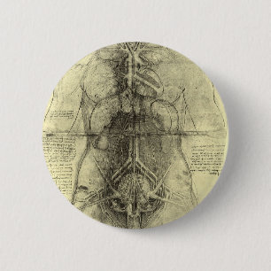 Bóton Redondo 5.08cm Anatomia humana, Mulher Torso por Leonardo da Vinc