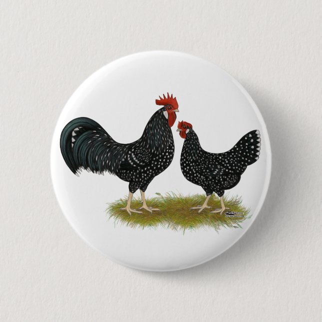 Bóton Redondo 5.08cm Ancona Chickens (Frente)