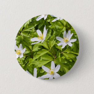 Bóton Redondo 5.08cm Anêmona-dos-bosques