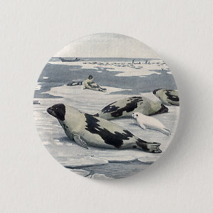 Bóton Redondo 5.08cm Animais selvagens do vintage, iceberg árcticos do