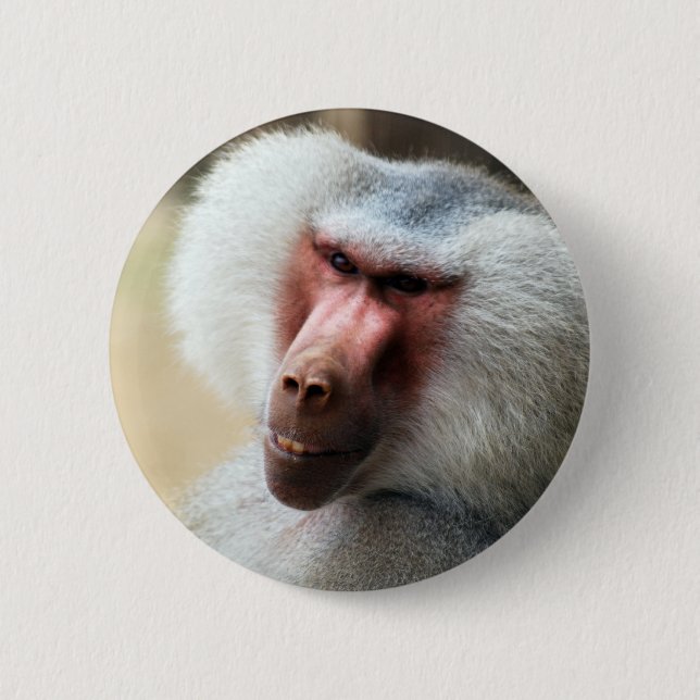 Bóton Redondo 5.08cm Ape dizendo uivo (Frente)