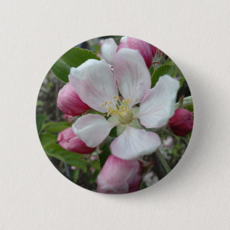 Bóton Redondo 5.08cm Apple floresce