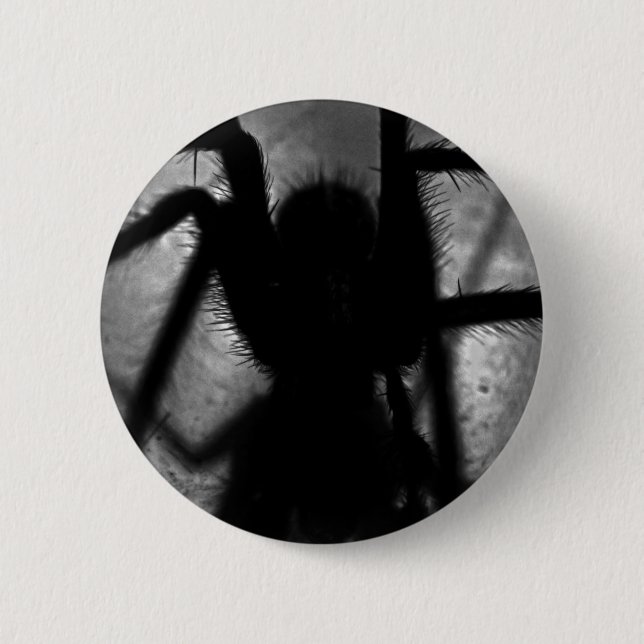 Bóton Redondo 5.08cm Arachnophobia… (Frente)