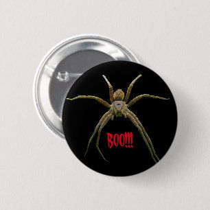 Bóton Redondo 5.08cm Aranha