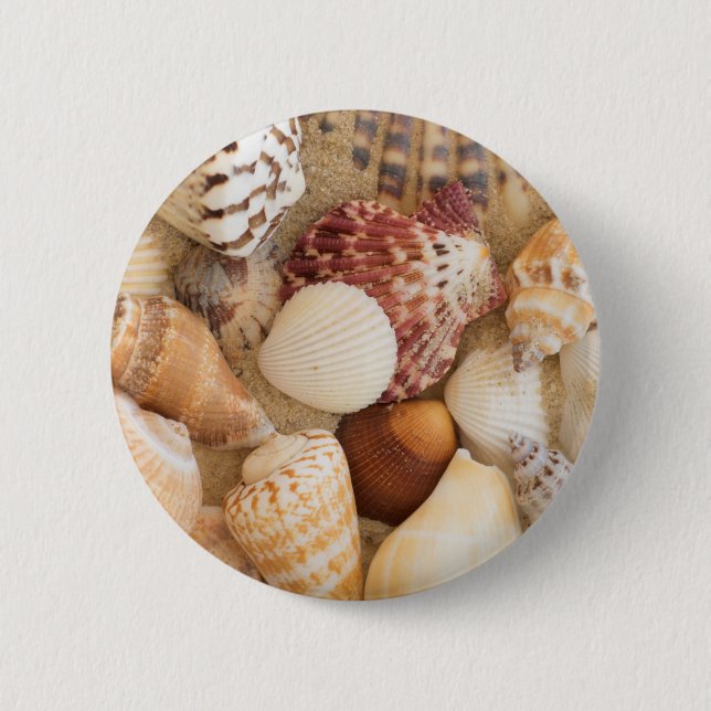 Bóton Redondo 5.08cm Arranjo do Seashell (Frente)