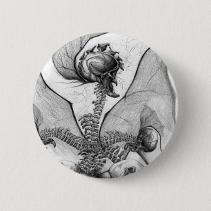 Bóton Redondo 5.08cm Arte de esqueleto companheira do monstro do horror