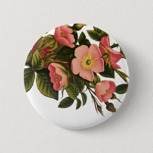 Bóton Redondo 5.08cm Arte de Ilustração de Flor de Rosa antigo