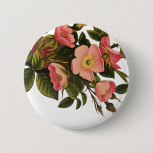Bóton Redondo 5.08cm Arte de Ilustração de Flor de Vintage Rosa