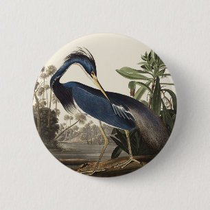 Bóton Redondo 5.08cm Arte de Pássaro Garça da Louisiana Audubon Vintage