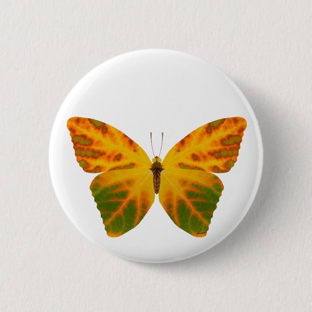 Bóton Redondo 5.08cm Aspen Leaf Butterfly 1 (Frente)