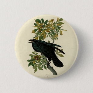 Bóton Redondo 5.08cm Audubon Raven Bird Classic Trabalho de arte