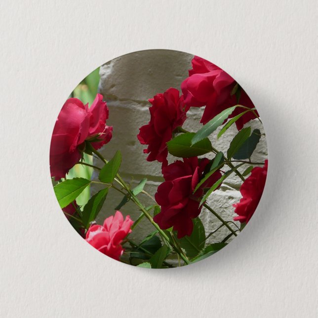 Bóton Redondo 5.08cm aumentou, a rosa vermelha (Frente)