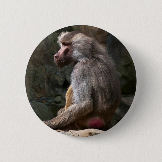 Bóton Redondo 5.08cm Azeitona Baboon (Frente)