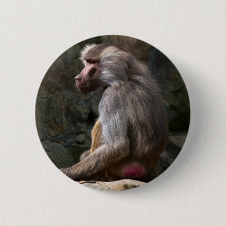 Bóton Redondo 5.08cm Azeitona Baboon