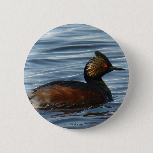 Bóton Redondo 5.08cm B1 Eared Grebe (Frente)