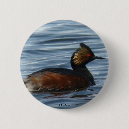 Bóton Redondo 5.08cm B1 Eared Grebe