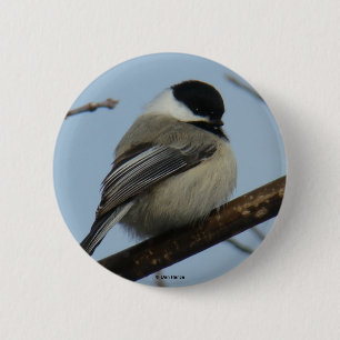 Bóton Redondo 5.08cm B21 Chickadee