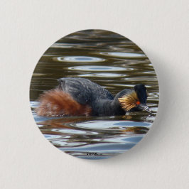 Bóton Redondo 5.08cm B8 Eared Grebe Cortejando