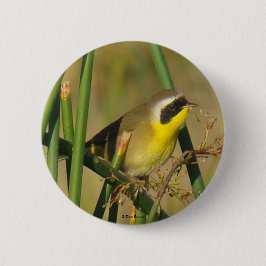 BÓTON REDONDO 5.08CM B9