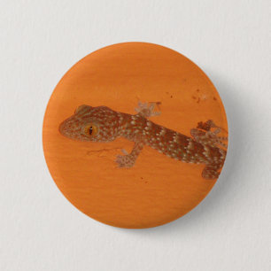 Bóton Redondo 5.08cm Baby Tokay Gecko