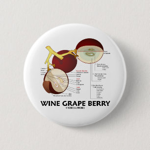 Bóton Redondo 5.08cm Baga da uva para vinho (anatomia)