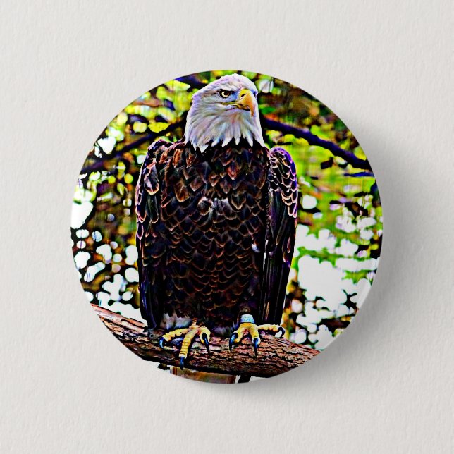 Bóton Redondo 5.08cm Bald Eagle (Frente)