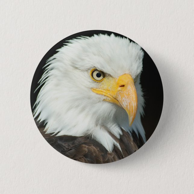 Bóton Redondo 5.08cm Bald Eagle (Frente)