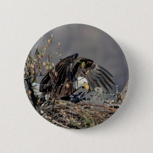 Bóton Redondo 5.08cm Bald Eagle com seu bebê