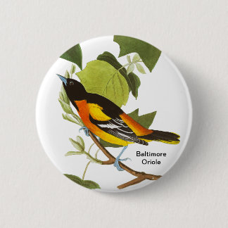 Bóton Redondo 5.08cm Baltimore Oriole, Audubon, Acessório de Birdwatche
