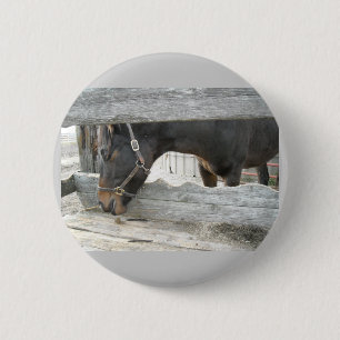 Bóton Redondo 5.08cm Barn Horse Humor