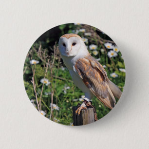 Bóton Redondo 5.08cm Barn Owl
