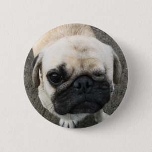 Bóton Redondo 5.08cm Bauwk ... cachorro Pug ... Tailândia
