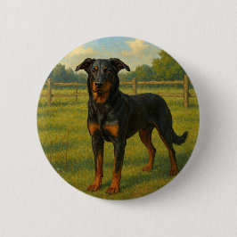 Bóton Redondo 5.08cm Beauceron
