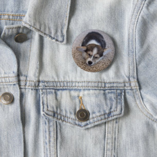 Bóton Redondo 5.08cm Bebês Mais Pobres Corgi Puppy em Shag Rug