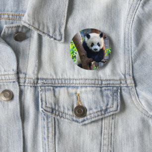 Bóton Redondo 5.08cm Bebês Mais Pobres Giant Panda Cub