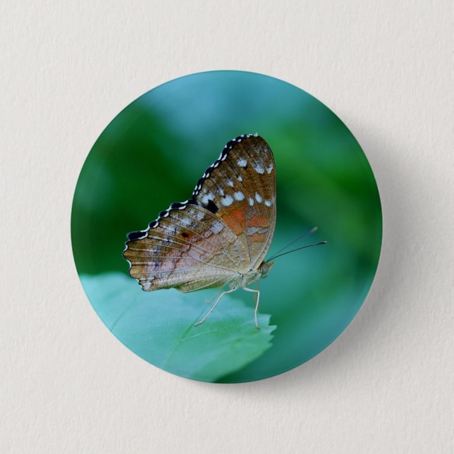 Bóton Redondo 5.08cm Belo Danaus Plexippus Butterfly em Folha. (Frente)