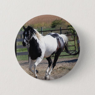 Bóton Redondo 5.08cm Belo Paint Pinto Horse