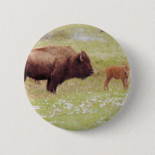 Bóton Redondo 5.08cm Bison e Calf em Yellowstone