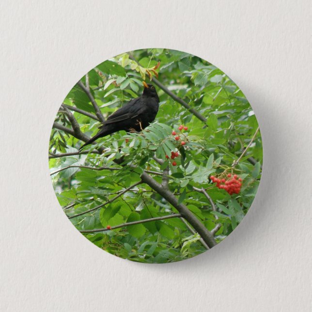 Bóton Redondo 5.08cm Blackbird e Berries Button (Frente)