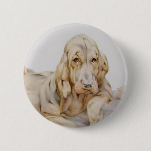 Bóton Redondo 5.08cm Bloodhounds bonitos do vintage, cães de filhote d