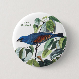 Bóton Redondo 5.08cm Blue Grosbeak, John James Audubon, Pássaro Azul