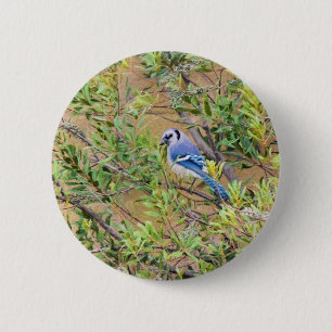 Bóton Redondo 5.08cm Blue Jay on Wax Myrtle