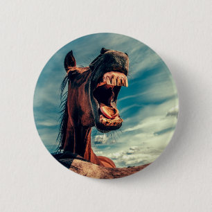 Bóton Redondo 5.08cm Boca do Cavalo Dente próximo de Cavalo Selvagem