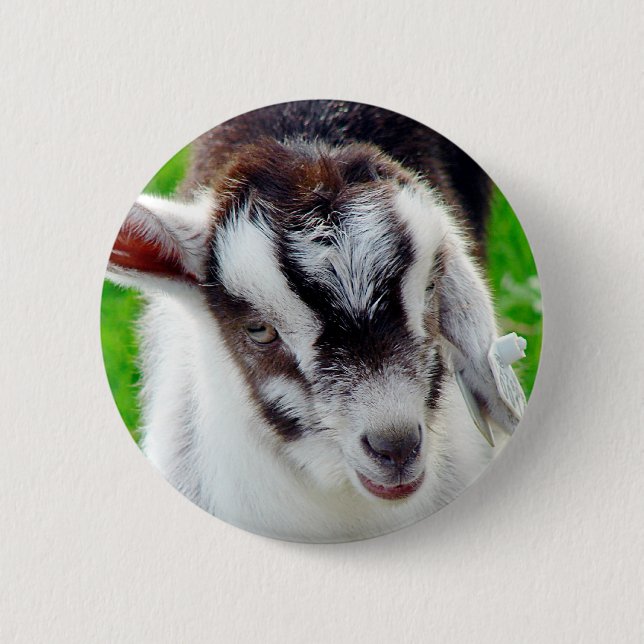 Bóton Redondo 5.08cm Bonito Goat Kid (Frente)