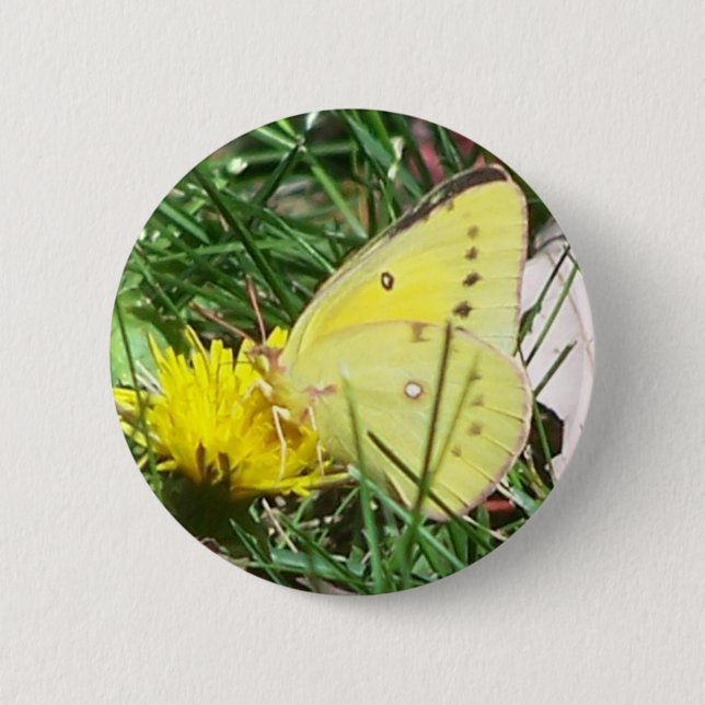 Bóton Redondo 5.08cm Borboleta Dandelion (Frente)