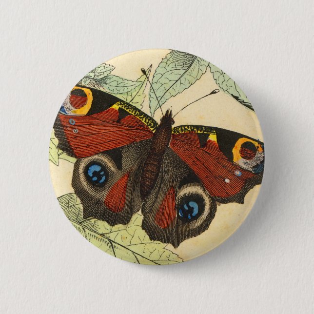 Bóton Redondo 5.08cm Borboleta de pavão (Frente)