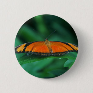 Bóton Redondo 5.08cm Borboleta laranja brilhante e preta na folha
